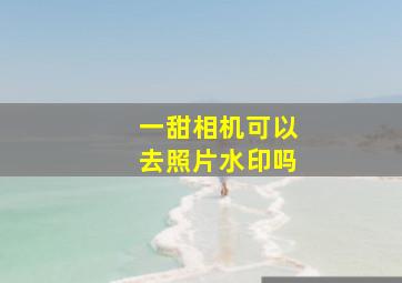 一甜相机可以去照片水印吗