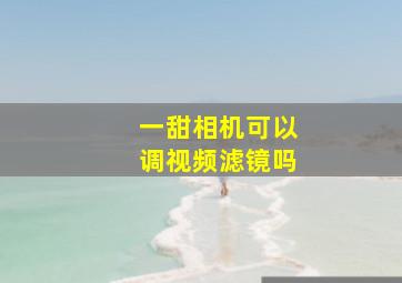 一甜相机可以调视频滤镜吗