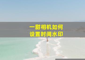 一甜相机如何设置时间水印