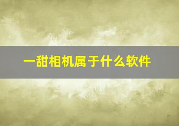 一甜相机属于什么软件