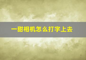 一甜相机怎么打字上去