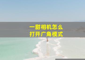 一甜相机怎么打开广角模式