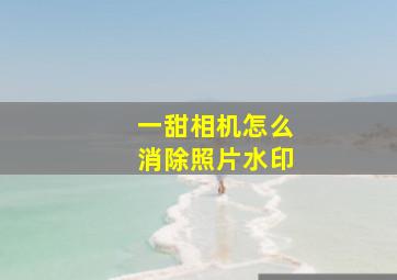 一甜相机怎么消除照片水印