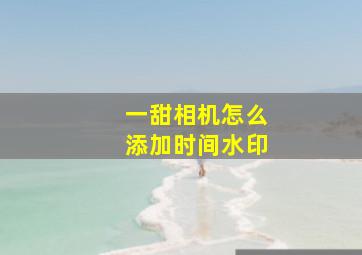 一甜相机怎么添加时间水印