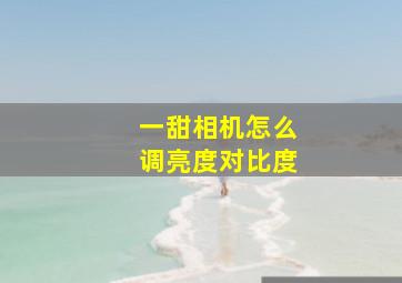 一甜相机怎么调亮度对比度