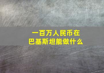 一百万人民币在巴基斯坦能做什么