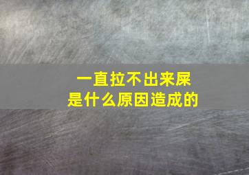 一直拉不出来屎是什么原因造成的