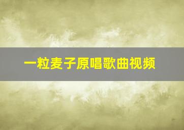 一粒麦子原唱歌曲视频