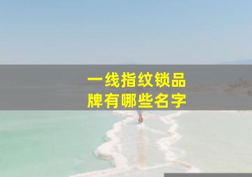 一线指纹锁品牌有哪些名字