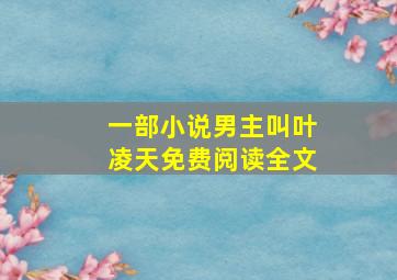 一部小说男主叫叶凌天免费阅读全文