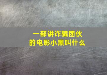 一部讲诈骗团伙的电影小黑叫什么