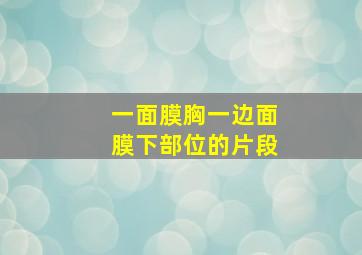 一面膜胸一边面膜下部位的片段