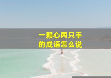 一颗心两只手的成语怎么说