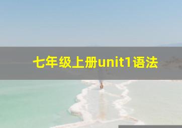 七年级上册unit1语法