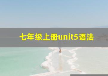 七年级上册unit5语法