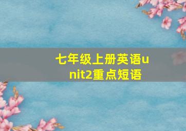 七年级上册英语unit2重点短语