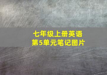 七年级上册英语第5单元笔记图片