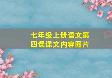 七年级上册语文第四课课文内容图片