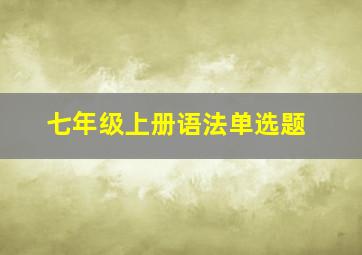 七年级上册语法单选题