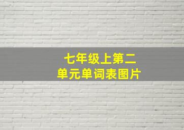 七年级上第二单元单词表图片