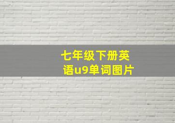 七年级下册英语u9单词图片