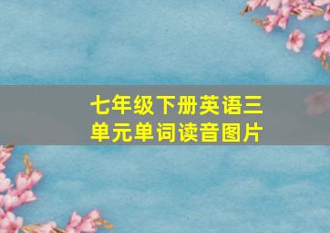 七年级下册英语三单元单词读音图片