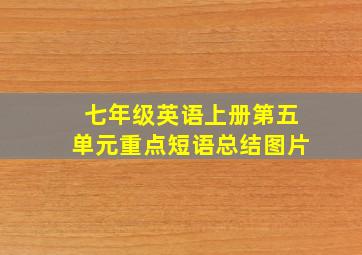 七年级英语上册第五单元重点短语总结图片