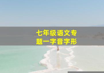 七年级语文专题一字音字形