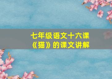 七年级语文十六课《猫》的课文讲解