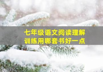 七年级语文阅读理解训练用哪套书好一点