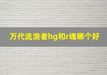 万代流浪者hg和r魂哪个好