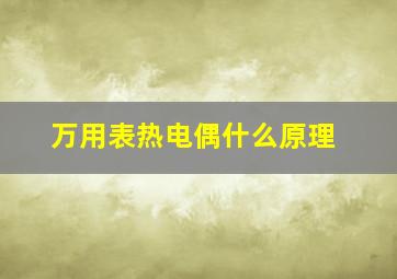 万用表热电偶什么原理