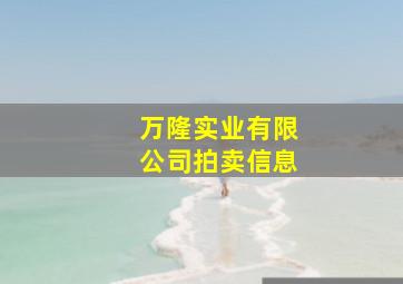 万隆实业有限公司拍卖信息