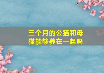 三个月的公猫和母猫能够养在一起吗