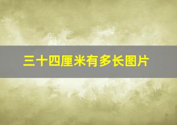 三十四厘米有多长图片