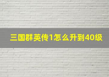 三国群英传1怎么升到40级