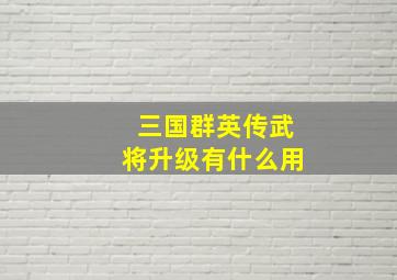 三国群英传武将升级有什么用