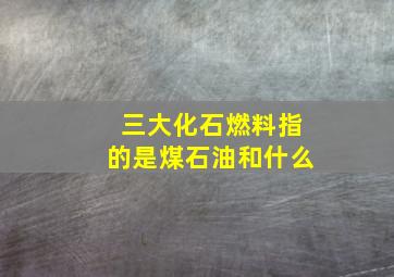 三大化石燃料指的是煤石油和什么