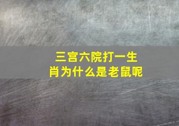 三宫六院打一生肖为什么是老鼠呢