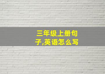 三年级上册句子,英语怎么写