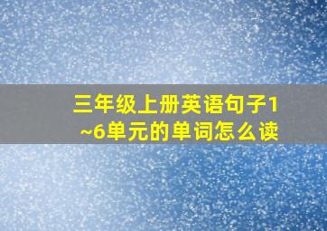 三年级上册英语句子1~6单元的单词怎么读