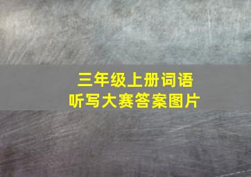 三年级上册词语听写大赛答案图片