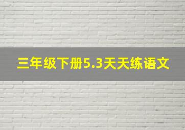 三年级下册5.3天天练语文