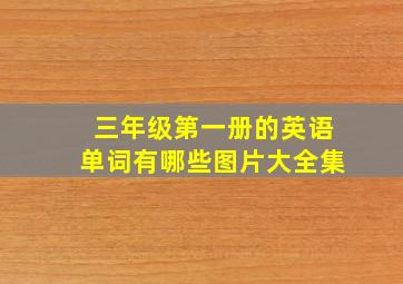 三年级第一册的英语单词有哪些图片大全集