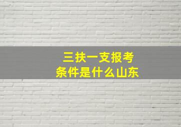 三扶一支报考条件是什么山东