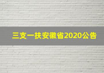 三支一扶安徽省2020公告