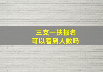 三支一扶报名可以看到人数吗