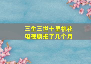 三生三世十里桃花电视剧拍了几个月