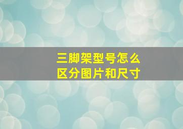 三脚架型号怎么区分图片和尺寸