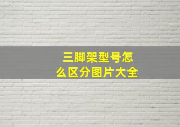 三脚架型号怎么区分图片大全